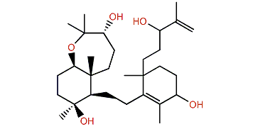 Siphonellinol B